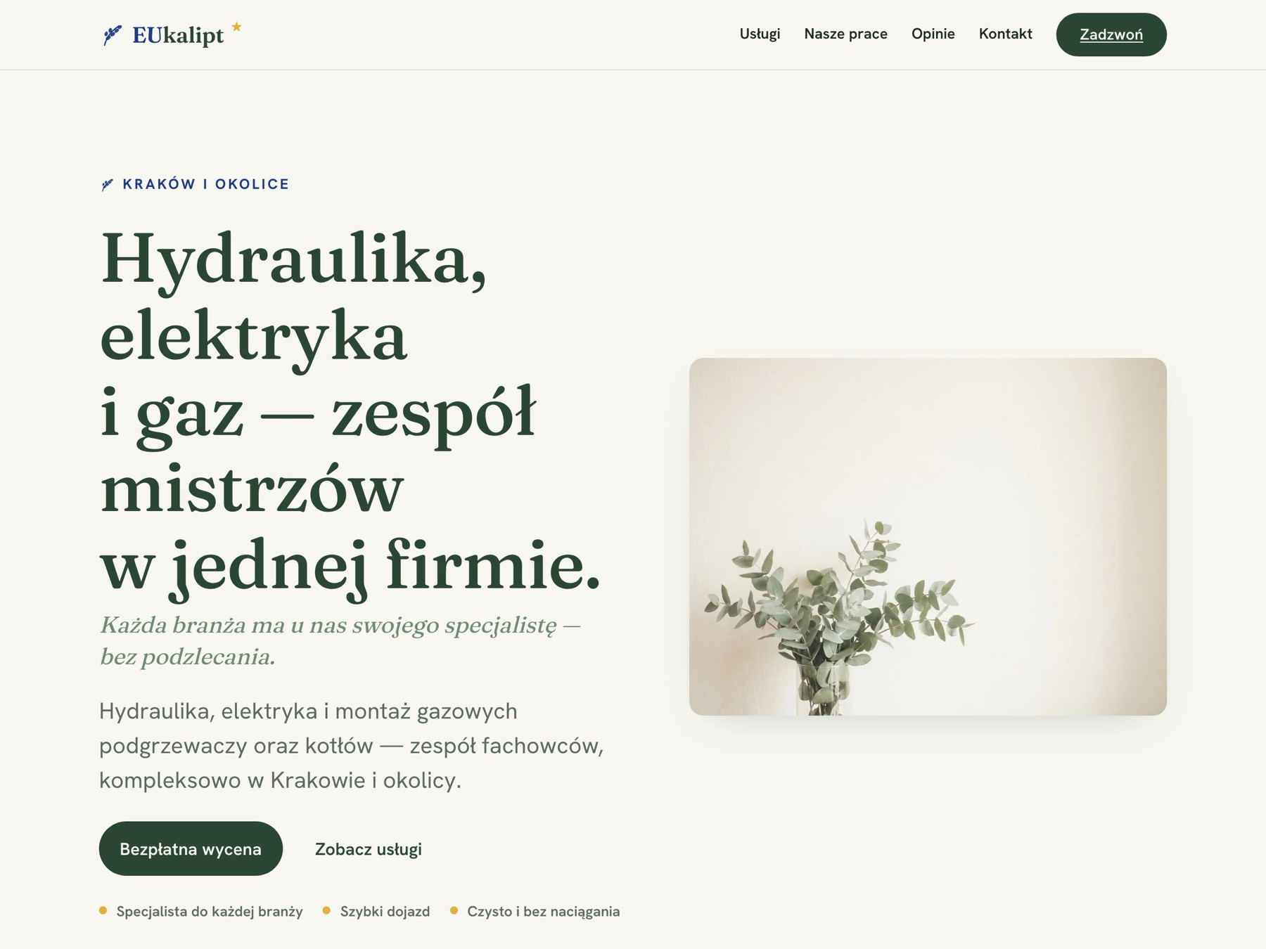 Strona główna eukalipt.vellspot.com — sekcja hero